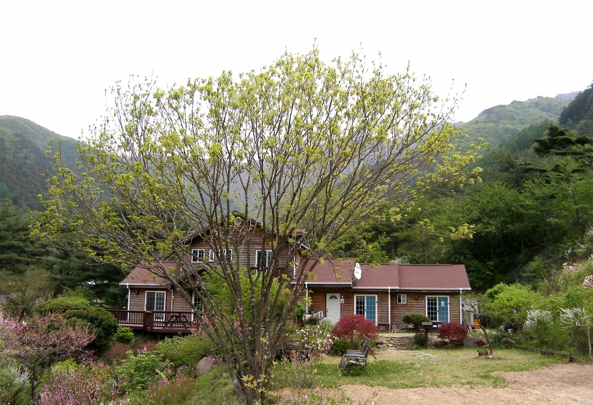 Fairy Tale Pension Pyeongchang Dış mekan fotoğraf