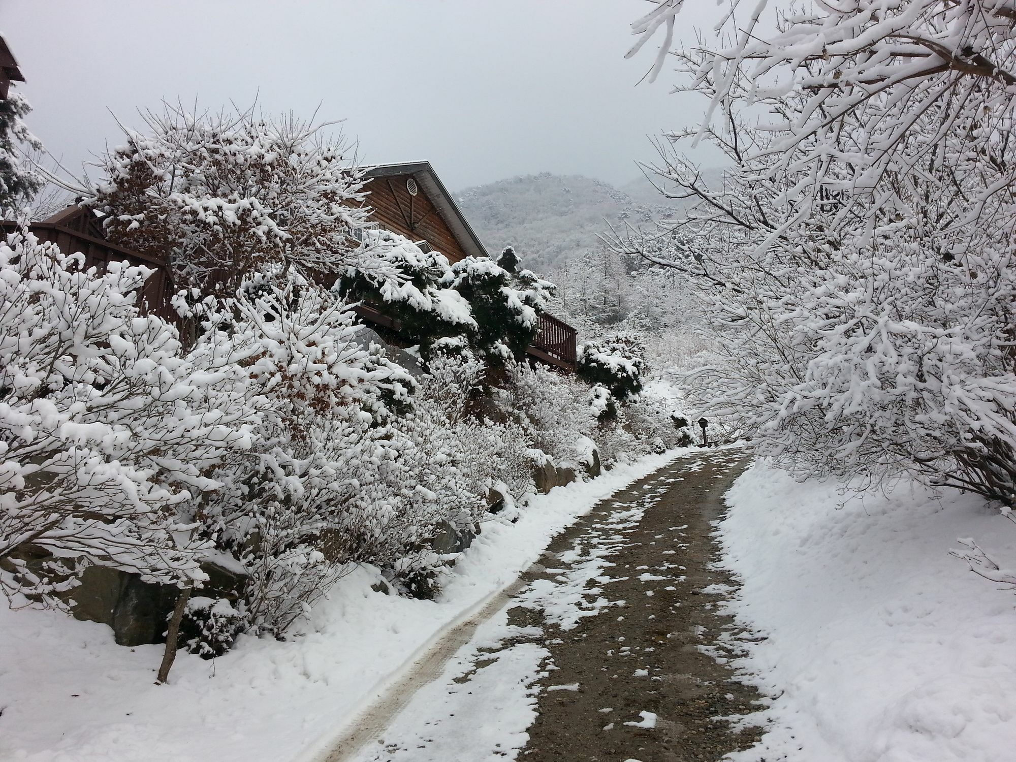 Fairy Tale Pension Pyeongchang Dış mekan fotoğraf