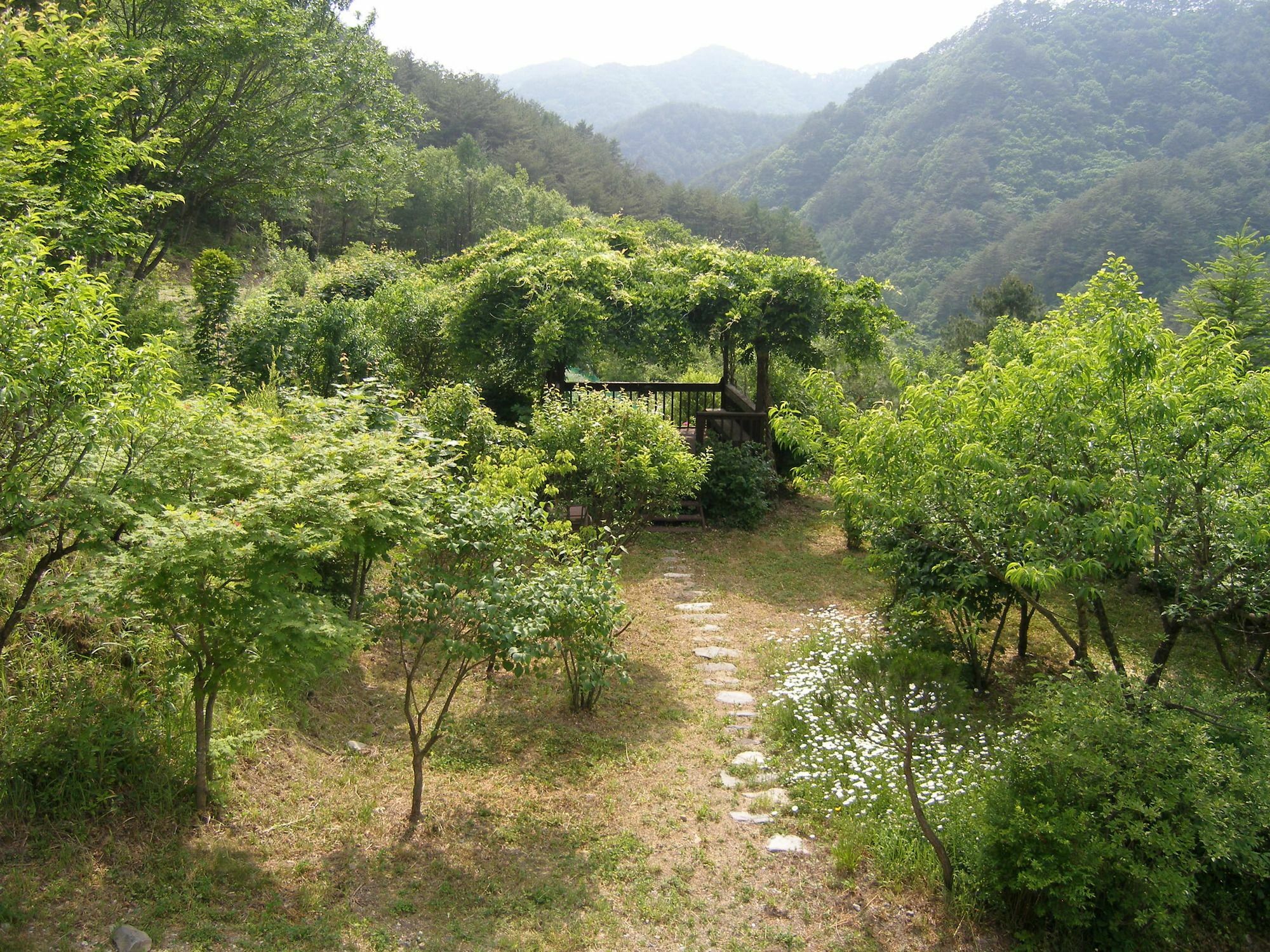 Fairy Tale Pension Pyeongchang Dış mekan fotoğraf