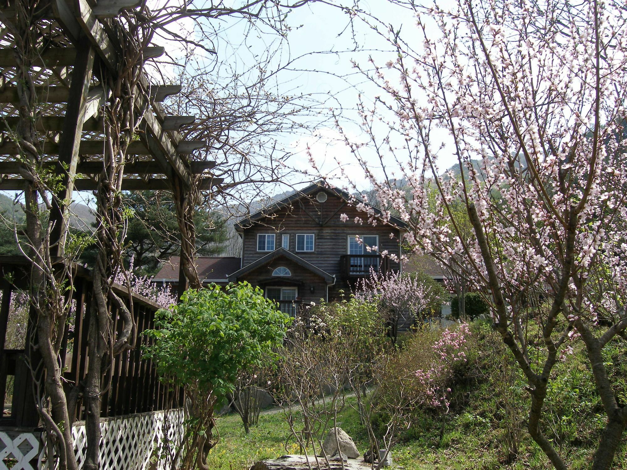 Fairy Tale Pension Pyeongchang Dış mekan fotoğraf